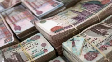 صرف ديسمبر.. تعرف على مواعيد رواتب الموظفين الحكوميين والقطاع الخاص بشهر 2025